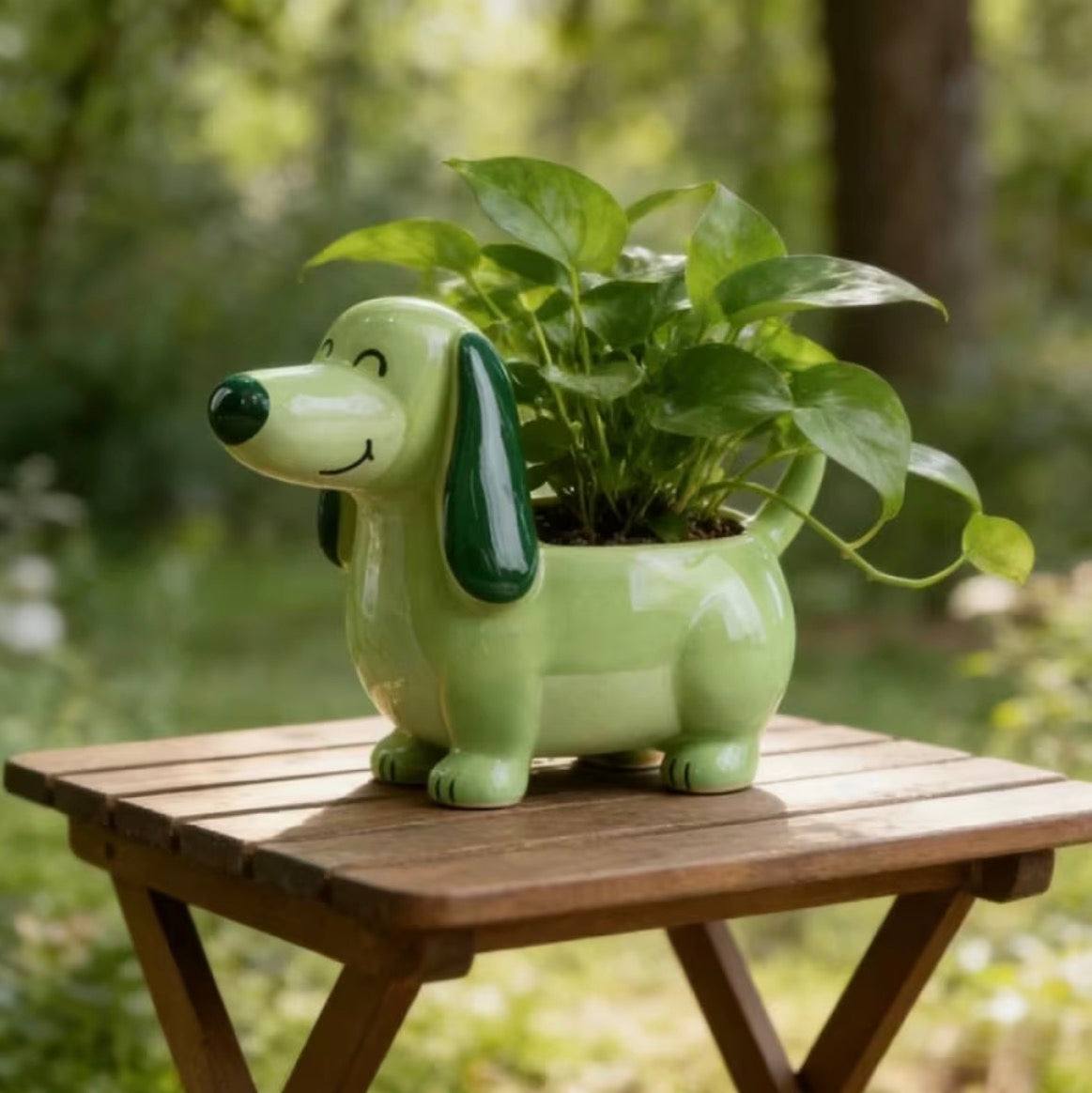 Plantée Pup – Dachshund Edition